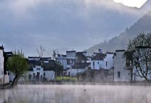 健康养生，98寸大屏为您呈现